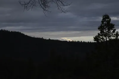 DSC_0058 (Large).JPG